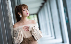 zooskoolstray八狗一女